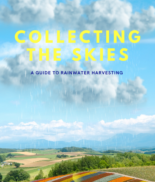 Collecting the Skies - A Guide to Rainwater Harvesting